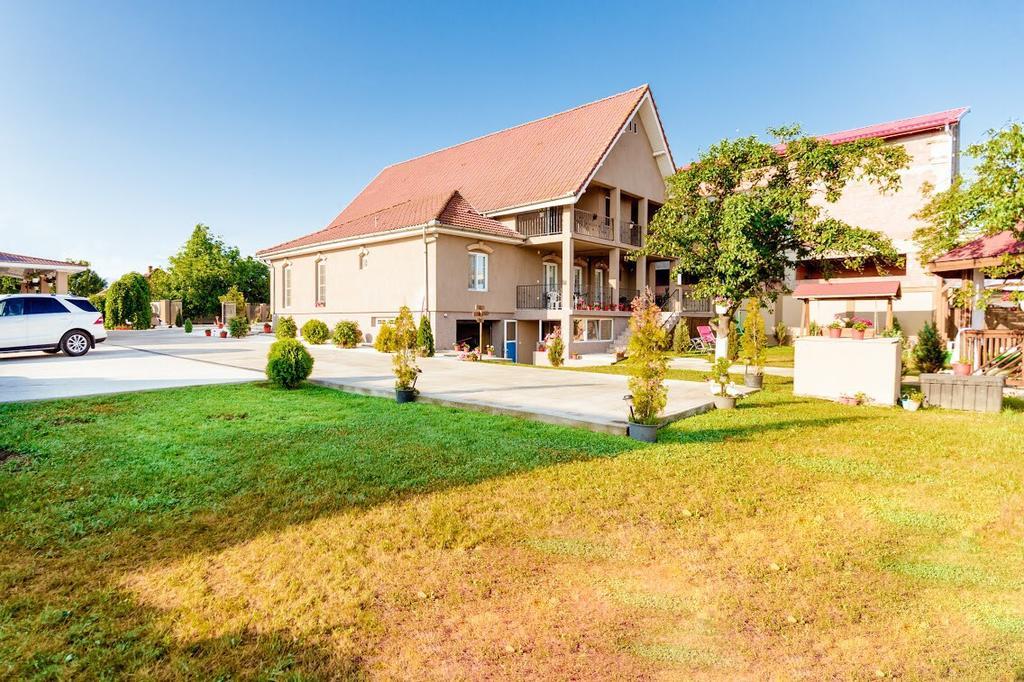 Casa Iulia Hotel Hateg Bagian luar foto